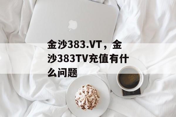 金沙383.VT，金沙383TV充值有什么问题